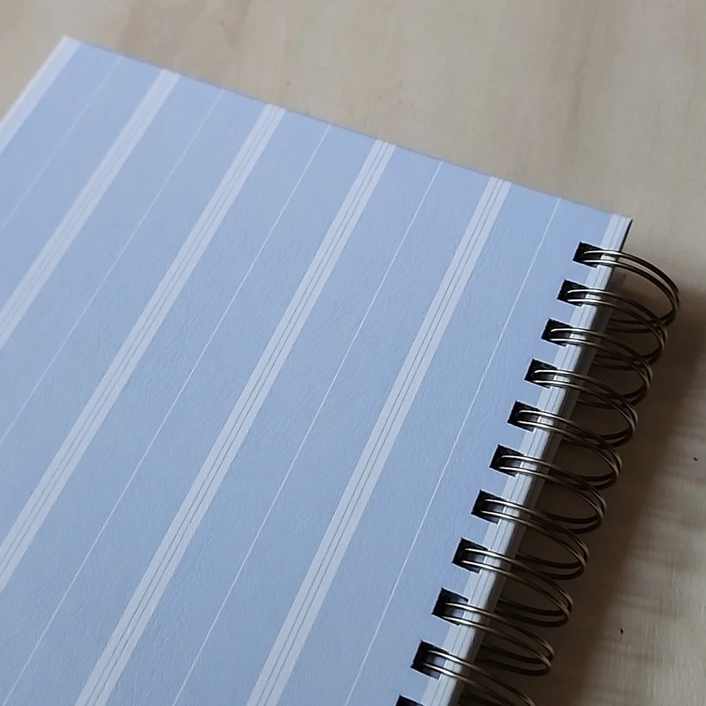 Brand New Eccolo Blue Stripe 2025-2026 planner notebook